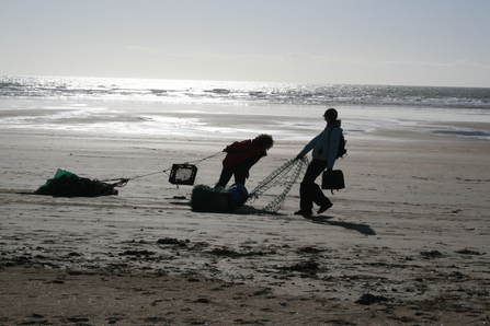 Beach clean