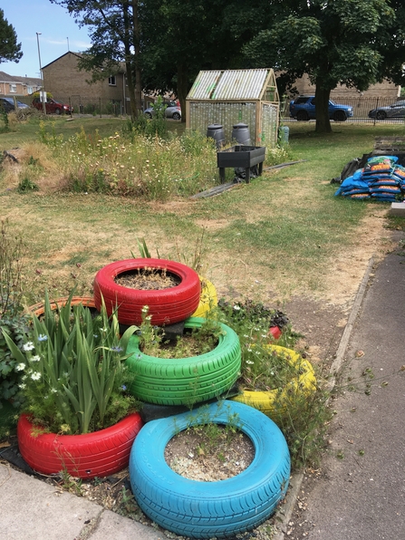 Tyre planters 