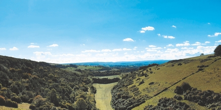 View from Fontmell Down