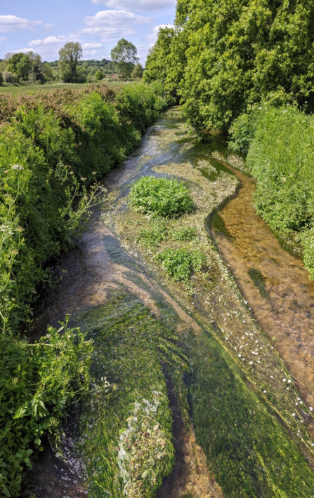 Chalk stream 