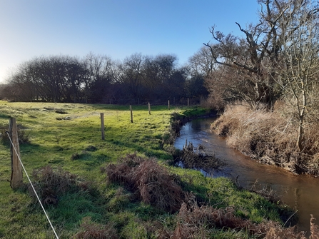 Riparian buffer strip fencing 