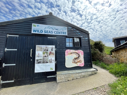 An image of the Wild Seas Centre