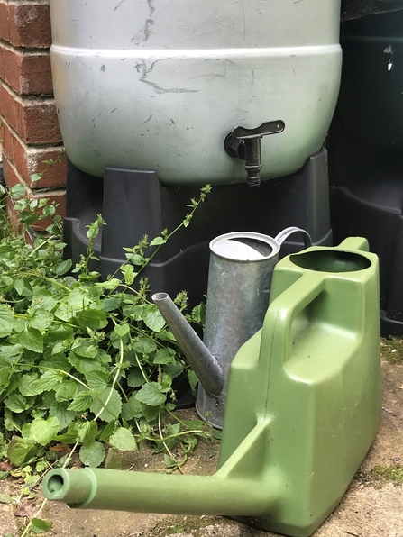 Water butt and watering cans 