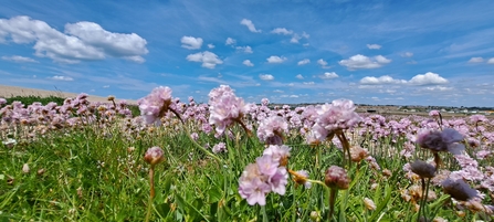 Chesil Beach