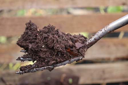 Compost on a garden tool