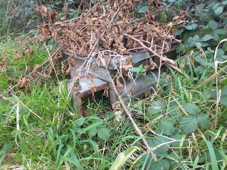 Hedgehog house in community allotments