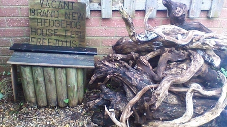 Hedgehog house 