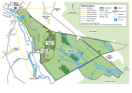 Map showing Wild Woodbury nature reserve