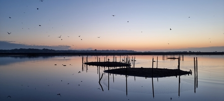 Brownsea Lagoon
