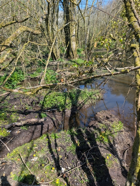 New beaver channel