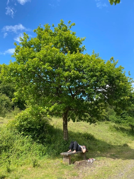 Supporter resting at their dad's memorial bench
