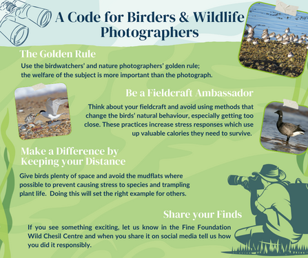 Birders and Photographers' Code