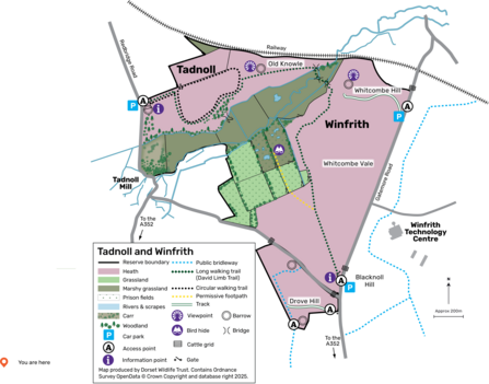 Tadnoll and Winfrith nature reserve map