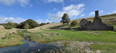 Lyscombe Chapel