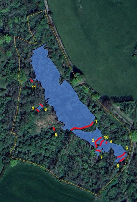 Surface water area of the Dorset Beaver Project site August 2025