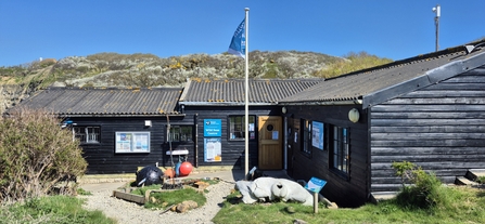 The Fine Foundation Wild Seas Centre 