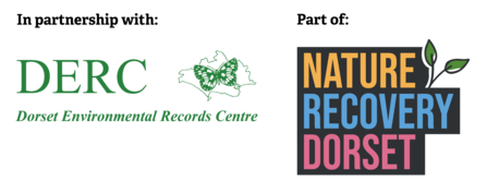 DERC NRD logos