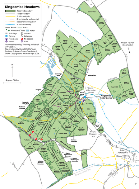 Kingcombe Meadows map 2026