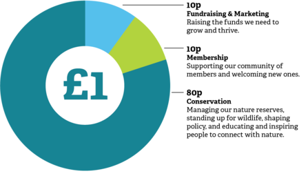 Piechart showing 80p in every pound is spent on conservation; 20p on Fundraising, Membership and Marketing