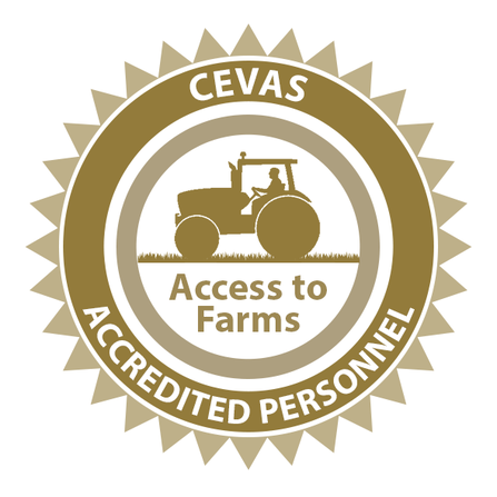 CEVAS logo