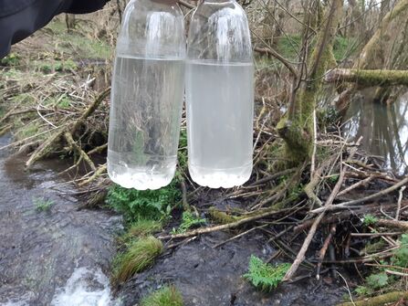 Water quality comparison at Dorset Beaver Project site