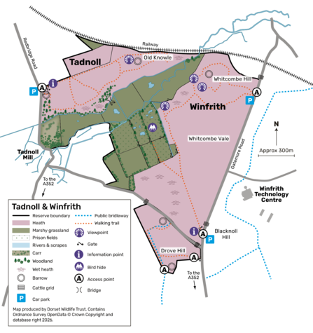 Tadnoll and Winfrith heath map 2026
