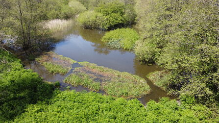 Aerial view of beaver project site