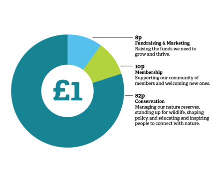 A pie chart showing where £1 of membership money is used for - 8p for fundraising, 10p for membership and 82p for conservation