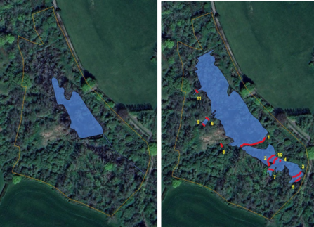 Beaver wetland site comparison 