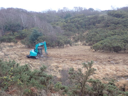 A blue digger machine driving across a bare patch of heathland between gorse