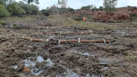 An image of a muddy peatland with coir fibre bunding in lines across it