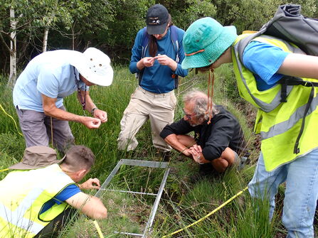 A set of volunteers looking at a quadrant on the grass