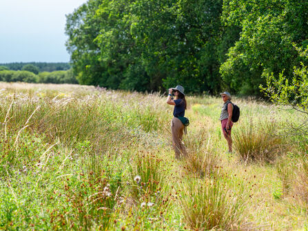 Guided walk at Wild Woodbury