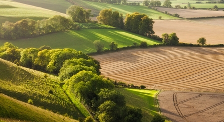 Chalk downland landscape with mixed farming © Guy Edwardes/2020VISION