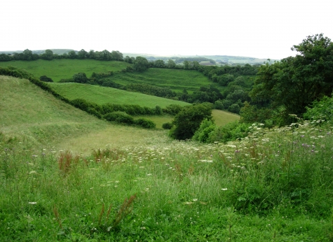 South Poorton © Jane Franklin