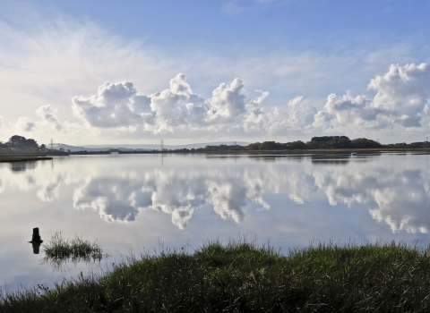 Lytchett Bay DWT/ARC Nature Reserve