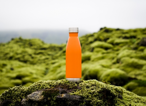 bottle