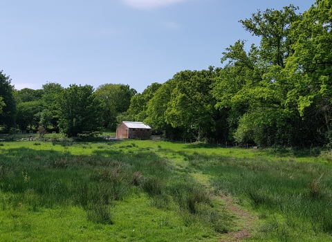 Happy Bottom Nature Reserve