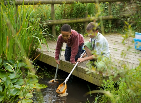 Children pond dipping at Lorton Meadows by Katharine Davies 