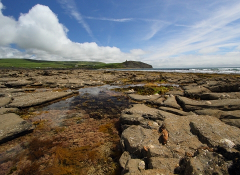 Kimmeridge Bay © JHatcher