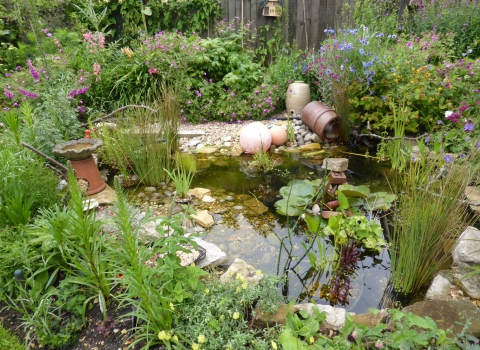 Wildlife friendly garden by Briony Baxter 