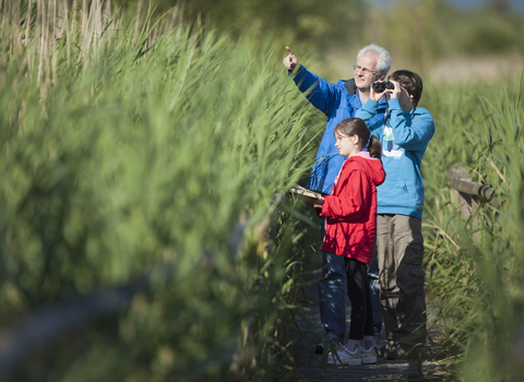 Photo of man and 2 children birdwatching