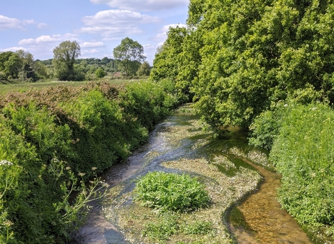 Dorset river