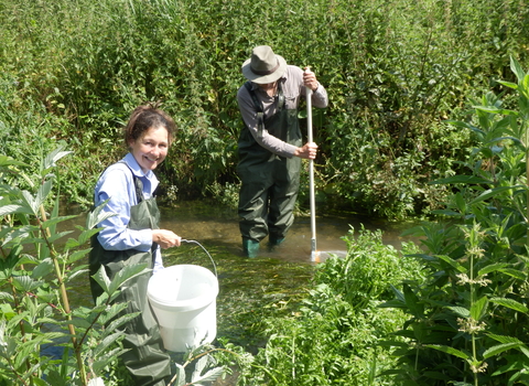 Photo showing riverfly monitoring