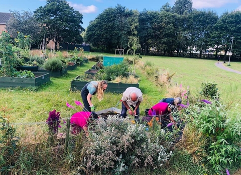 Community planting day at Townsend