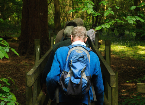 Backs of people including a man as they walk across a bridge in a wood