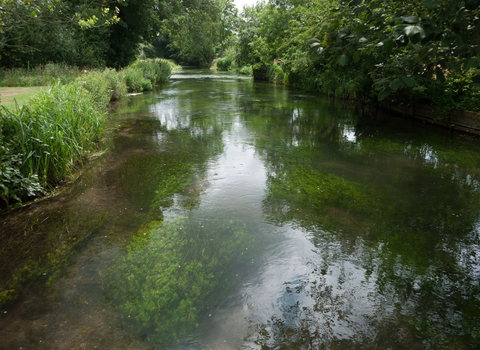 Chalk river