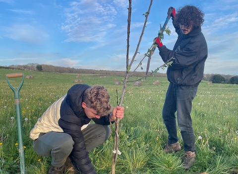 Bere Regis Scouts planting trees for the community food forest