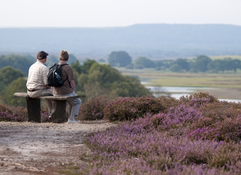 People enjoying the view at Arne