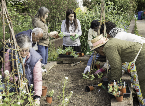 Community garden